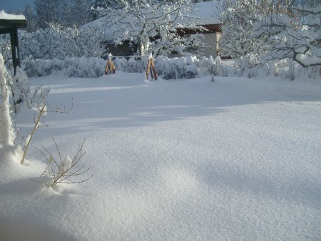 mm....undrar om det går att använda hammocken mer?